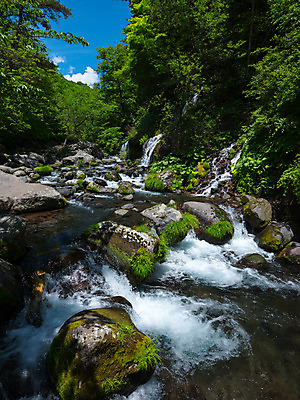 포토 JPG 주간 나무 구름 자연 하늘 풍경 사람없음 야외 계곡 바위 국내포토 자연요소 식물 돌_바위 생태계 파일형식