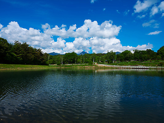 포토 JPG 주간 나무 구름 호수 자연 하늘 산 풍경 사람없음 야외 국내포토 자연요소 식물 생태계 파일형식