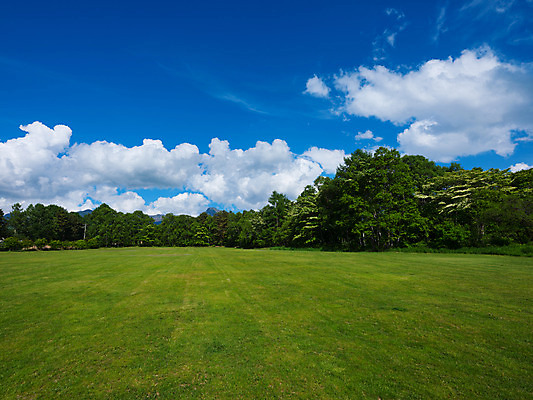 포토 JPG 주간 나무 구름 자연 하늘 풍경 잔디 사람없음 야외 국내포토 자연요소 식물 생태계 파일형식