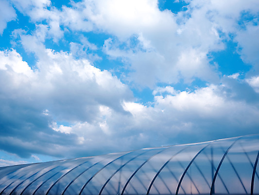 포토 JPG 주간 구름 자연 하늘 사람없음 야외 비닐하우스 국내포토 자연요소 농업 생태계 파일형식