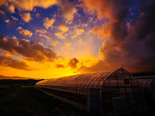 포토 JPG 주간 구름 자연현상 자연 하늘 풍경 사람없음 야외 일몰 농촌 비닐하우스 국내포토 자연요소 농업 노을 시골 생태계 파일형식