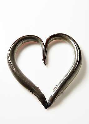 포토 JPG 스튜디오촬영 두마리 식재료 실내 사람없음 하트 장어 국내포토 모양 2 어류 내부 파일형식