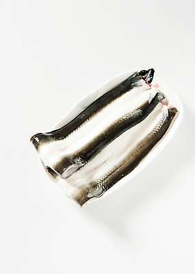 포토 JPG 스튜디오촬영 접시 식재료 실내 사람없음 장어 손질 국내포토 식기 어류 내부 파일형식