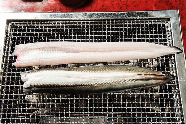 포토 JPG 스튜디오촬영 식재료 실내 사람없음 하이앵글 그릴 구이 장어 날것 장어구이 석쇠구이 숯불구이 국내포토 음식 뷰포인트 주방용품 어류 내부 생선요리 파일형식