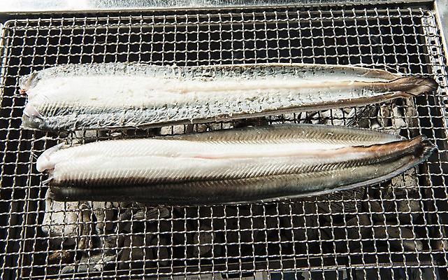 포토 JPG 스튜디오촬영 식재료 실내 사람없음 하이앵글 그릴 구이 장어 장어구이 석쇠구이 숯불구이 국내포토 음식 뷰포인트 주방용품 어류 내부 생선요리 파일형식