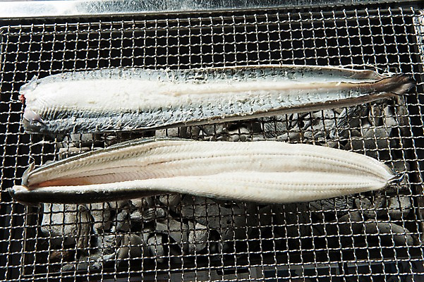 포토 JPG 스튜디오촬영 식재료 실내 사람없음 하이앵글 그릴 구이 장어 장어구이 석쇠구이 숯불구이 국내포토 음식 뷰포인트 주방용품 어류 내부 생선요리 파일형식