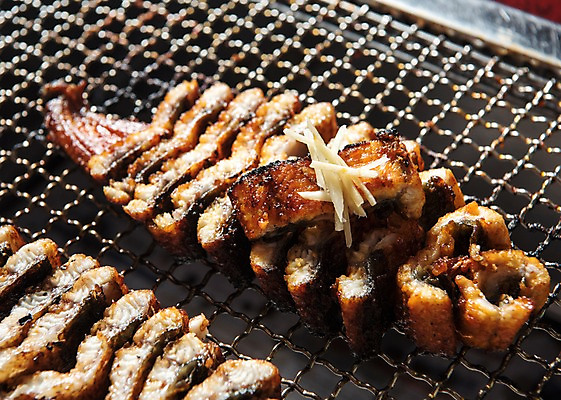 포토 JPG 스튜디오촬영 음식 실내 근접촬영 사람없음 그릴 구이 장어 슬라이스 생강 장어구이 석쇠구이 숯불구이 국내포토 뷰포인트 채소 주방용품 어류 내부 생선요리 파일형식