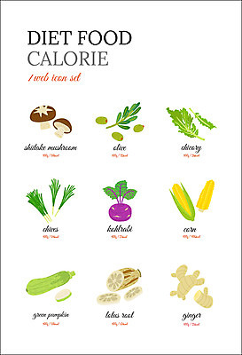 아이콘 음식 다이어트 옥수수 사람없음 버섯 올리브 부추 음식아이콘 생강 애호박 연근 다이어트음식 치커리 콜라비 2D아이콘 AI파일 열매 채소 호박 곡류 건강 파일형식 벡터