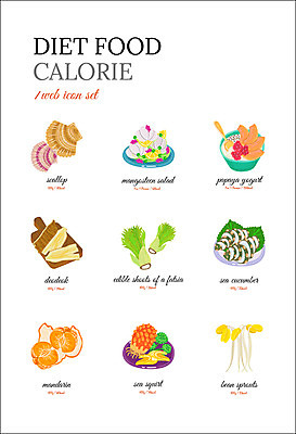 아이콘 음식 다이어트 귤 사람없음 콩나물 가리비 음식아이콘 요거트 해삼 다이어트음식 더덕 두릅 망고스틴 멍게 파파야 2D아이콘 AI파일 채소 과일 조개 유제품 건강 바다동물 해산물 열대과일 나물 파일형식 벡터