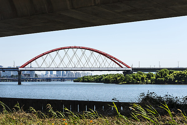포토 JPG 주간 나무 하늘 서울 풍경 사람없음 야외 건물 강 한강 서강대교 가교 국내포토 자연요소 식물 건축물 한국 다리_건축물 랜드마크 파일형식