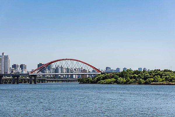 포토 JPG 주간 나무 하늘 서울 풍경 사람없음 야외 건물 강 한강 서강대교 가교 국내포토 자연요소 식물 건축물 한국 다리_건축물 랜드마크 파일형식