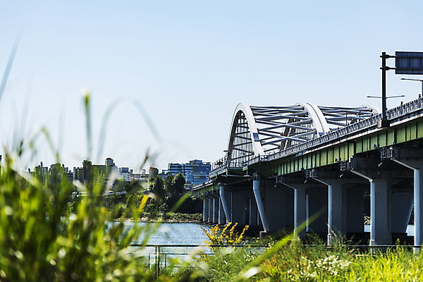 포토 JPG 주간 나무 하늘 서울 풍경 사람없음 야외 건물 아웃포커스 강 풀 한강 가교 양화대교 국내포토 자연요소 식물 건축물 한국 촬영기법 다리_건축물 랜드마크 파일형식