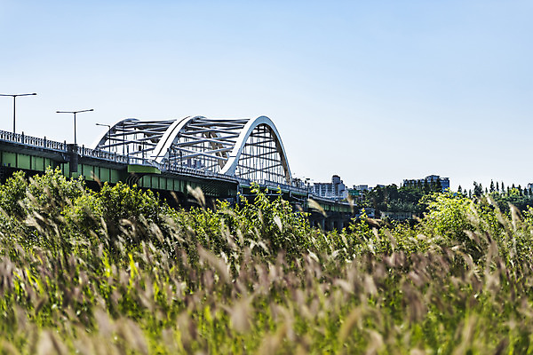 포토 JPG 주간 나무 하늘 서울 풍경 사람없음 야외 강 풀 한강 가교 양화대교 국내포토 자연요소 식물 건축물 한국 다리_건축물 랜드마크 파일형식