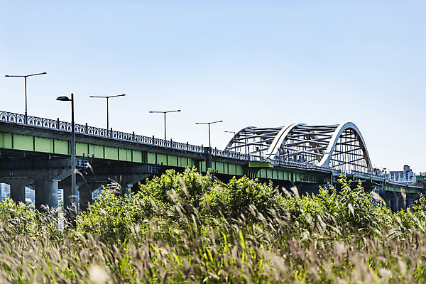포토 JPG 주간 나무 하늘 서울 풍경 사람없음 야외 강 풀 한강 가교 양화대교 국내포토 자연요소 식물 건축물 한국 다리_건축물 랜드마크 파일형식