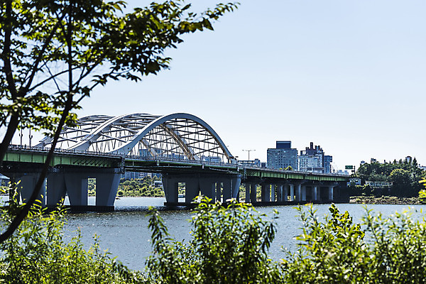 포토 JPG 주간 나무 하늘 서울 풍경 사람없음 야외 건물 강 한강 가교 양화대교 국내포토 자연요소 식물 건축물 한국 다리_건축물 랜드마크 파일형식