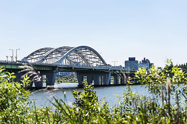 포토 JPG 주간 나무 하늘 서울 풍경 사람없음 야외 건물 아웃포커스 강 한강 가교 양화대교 국내포토 자연요소 식물 건축물 한국 촬영기법 다리_건축물 랜드마크 파일형식