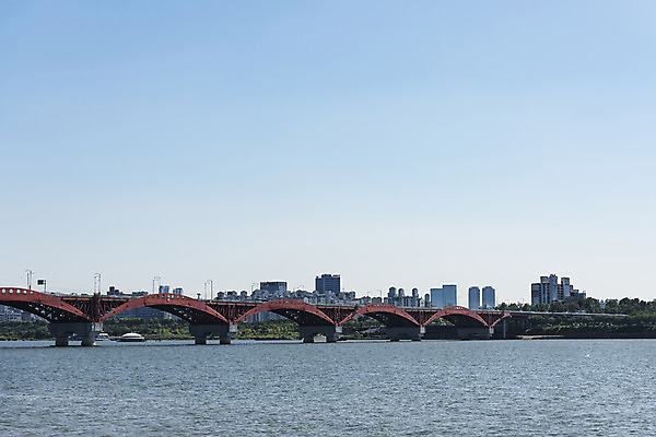 포토 JPG 주간 나무 하늘 서울 풍경 사람없음 야외 건물 강 한강 성산대교 가교 국내포토 자연요소 식물 건축물 한국 다리_건축물 랜드마크 파일형식