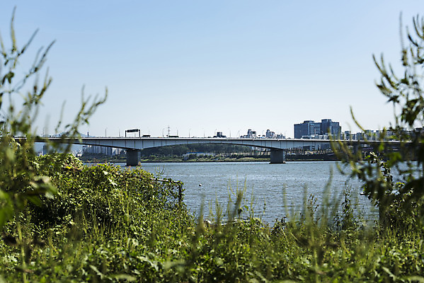 포토 JPG 주간 나무 하늘 서울 풍경 사람없음 야외 건물 아웃포커스 강 한강 가교 가양대교 국내포토 자연요소 식물 건축물 한국 촬영기법 다리_건축물 랜드마크 파일형식