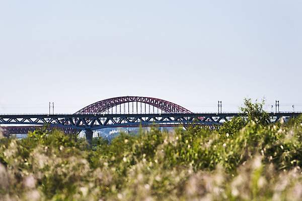 포토 JPG 주간 나무 하늘 서울 갈대 풍경 사람없음 야외 아웃포커스 강 한강 방화대교 가교 마곡철교 국내포토 자연요소 식물 건축물 한국 촬영기법 다리_건축물 랜드마크 파일형식