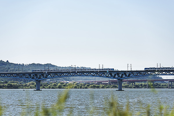 포토 JPG 주간 나무 하늘 서울 풍경 사람없음 야외 강 전철 한강 가교 마곡철교 국내포토 자연요소 식물 건축물 육상교통 대중교통 한국 다리_건축물 랜드마크 파일형식