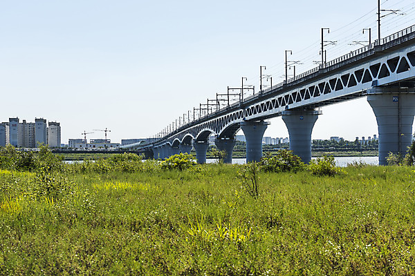 포토 JPG 주간 나무 하늘 서울 풍경 잔디 사람없음 야외 건물 강 한강 가교 마곡철교 국내포토 자연요소 식물 건축물 한국 다리_건축물 랜드마크 파일형식