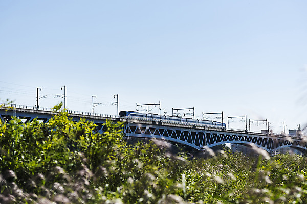 포토 JPG 주간 나무 하늘 서울 풍경 사람없음 야외 아웃포커스 강 전철 한강 가교 마곡철교 국내포토 자연요소 식물 건축물 육상교통 대중교통 한국 촬영기법 다리_건축물 랜드마크 파일형식