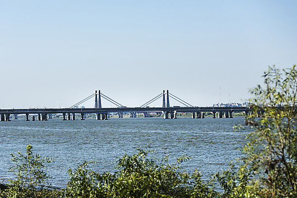 포토 JPG 주간 나무 하늘 서울 풍경 사람없음 야외 아웃포커스 강 한강 가교 행주대교 국내포토 자연요소 식물 건축물 한국 촬영기법 다리_건축물 랜드마크 파일형식 고양