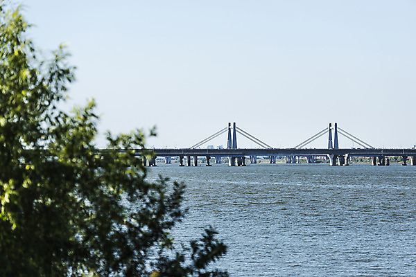 포토 JPG 주간 나무 하늘 서울 풍경 사람없음 야외 아웃포커스 강 한강 가교 행주대교 국내포토 자연요소 식물 건축물 한국 촬영기법 다리_건축물 랜드마크 파일형식 고양