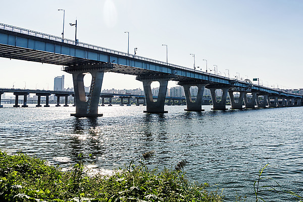 포토 JPG 주간 나무 하늘 서울 풍경 사람없음 야외 건물 강 풀 한강 가교 천호대교 광진교 국내포토 자연요소 식물 건축물 한국 다리_건축물 랜드마크 파일형식
