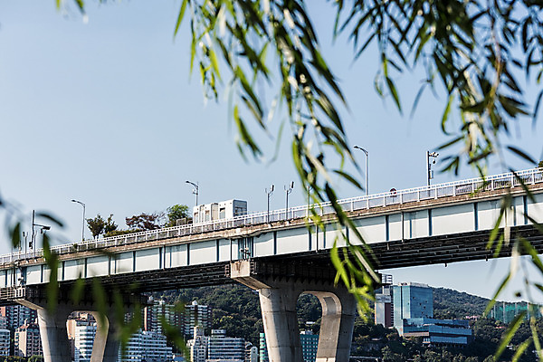 포토 JPG 주간 나무 하늘 서울 풍경 사람없음 야외 건물 아웃포커스 강 한강 가교 광진교 국내포토 자연요소 식물 건축물 한국 촬영기법 다리_건축물 랜드마크 파일형식