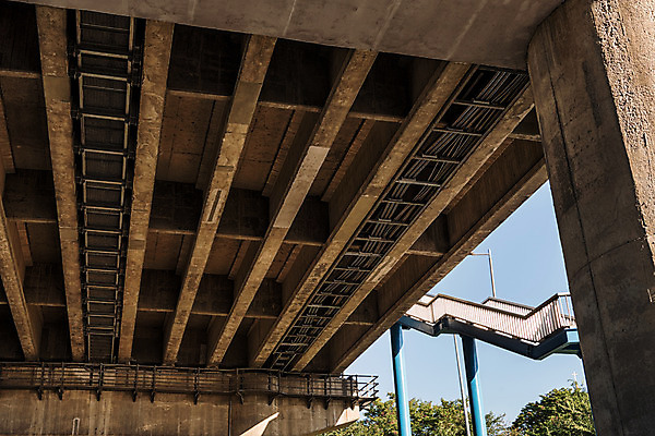 포토 JPG 주간 나무 하늘 서울 사람없음 야외 계단 한강 천장 가교 천호대교 국내포토 자연요소 식물 건축물 한국 다리_건축물 랜드마크 파일형식