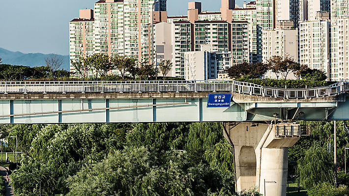 포토 JPG 주간 나무 하늘 아파트 서울 사람없음 야외 건물 한강 가교 광진교 국내포토 자연요소 식물 건축물 주택 한국 다리_건축물 랜드마크 파일형식