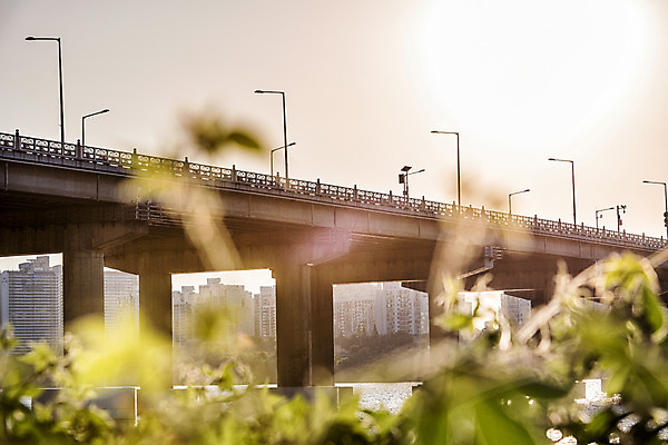 포토 JPG 주간 하늘 서울 풍경 사람없음 야외 아웃포커스 강 노을 풀 한강 가교 천호대교 국내포토 자연요소 식물 건축물 한국 촬영기법 다리_건축물 랜드마크 파일형식