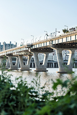 포토 JPG 주간 나무 하늘 아파트 서울 풍경 사람없음 야외 건물 아웃포커스 강 풀 한강 가교 천호대교 국내포토 자연요소 식물 건축물 주택 한국 촬영기법 다리_건축물 랜드마크 파일형식