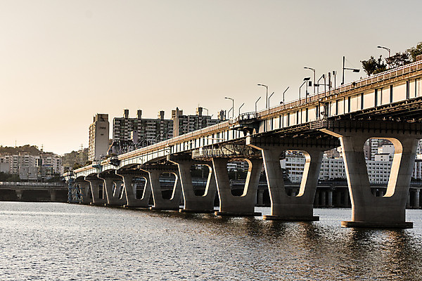 포토 JPG 주간 나무 가로등 하늘 서울 풍경 사람없음 야외 건물 강 노을 한강 가교 천호대교 국내포토 자연요소 식물 건축물 공공시설 한국 다리_건축물 랜드마크 파일형식