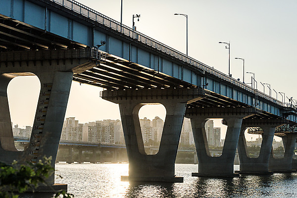 포토 JPG 주간 나무 하늘 아파트 서울 풍경 사람없음 야외 건물 강 노을 한강 가교 천호대교 광진교 국내포토 자연요소 식물 건축물 주택 한국 다리_건축물 랜드마크 파일형식
