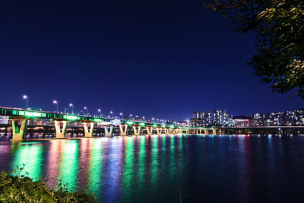 포토 JPG 나무 야경 하늘 서울 사람없음 야외 건물 빛 강 한강 가교 광진교 국내포토 식물 건축물 한국 다리_건축물 야간 랜드마크 파일형식 풍경_경치
