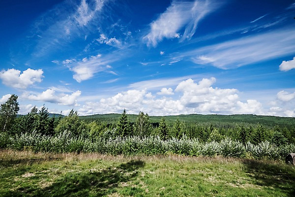 포토 JPG 주간 나무 구름 해외풍경 유럽 유럽풍경 자연 하늘 노르웨이 풍경 초원 사람없음 야외 맑음 국내포토 자연요소 식물 해외 나라 날씨 생태계 파일형식