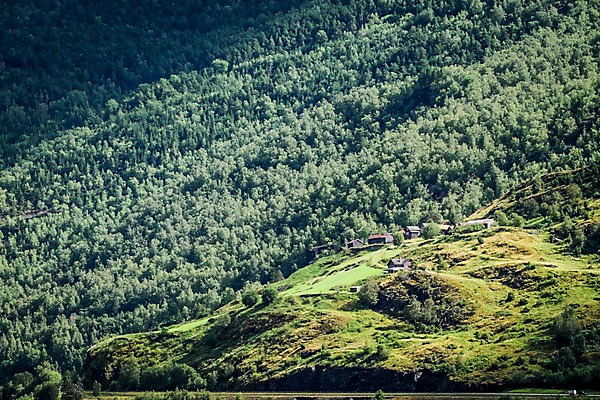 포토 JPG 주간 나무 해외풍경 유럽 유럽풍경 자연 주택 노르웨이 풍경 초원 사람없음 야외 숲 언덕 국내포토 자연요소 식물 해외 나라 건물 생태계 파일형식