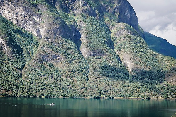 포토 JPG 주간 나무 해외풍경 유럽 유럽풍경 자연 산 노르웨이 풍경 사람없음 야외 강 선박 국내포토 자연요소 식물 해외 나라 수상교통 생태계 파일형식