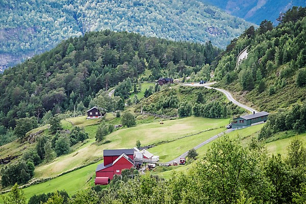 포토 JPG 주간 나무 해외풍경 유럽 도로 유럽풍경 자연 산 주택 노르웨이 풍경 초원 사람없음 야외 언덕 국내포토 자연요소 식물 해외 나라 길 교통시설 건물 생태계 파일형식