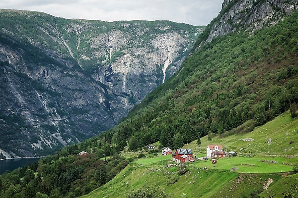 포토 JPG 주간 나무 해외풍경 유럽 유럽풍경 자연 산 주택 노르웨이 풍경 사람없음 야외 언덕 국내포토 자연요소 식물 해외 나라 건물 생태계 파일형식