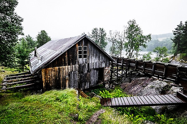 포토 JPG 주간 나무 해외풍경 유럽 유럽풍경 자연 주택 노르웨이 풍경 사람없음 야외 나무집 가교 국내포토 자연요소 식물 해외 건축물 나라 건물 생태계 파일형식