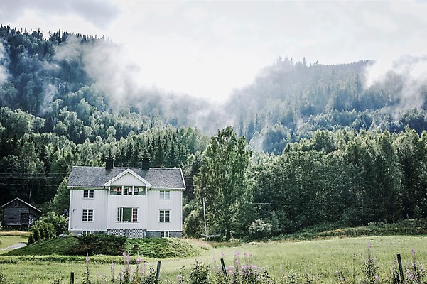포토 JPG 주간 나무 해외풍경 유럽 유럽풍경 자연 주택 노르웨이 풍경 초원 사람없음 야외 안개 숲 국내포토 자연요소 식물 해외 나라 날씨 건물 생태계 파일형식