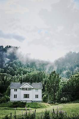 포토 JPG 주간 나무 구름 해외풍경 유럽 유럽풍경 자연 주택 노르웨이 풍경 초원 사람없음 야외 숲 국내포토 자연요소 식물 해외 나라 건물 생태계 파일형식