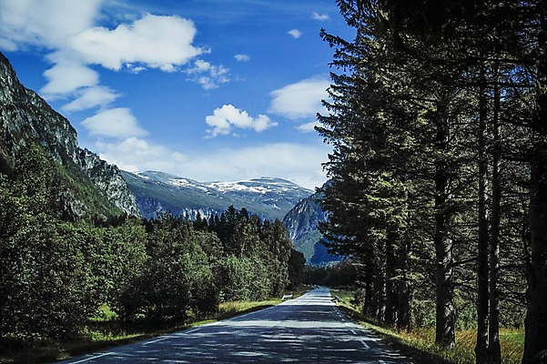 포토 JPG 주간 나무 구름 해외풍경 유럽 도로 유럽풍경 자연 하늘 산 노르웨이 풍경 사람없음 야외 맑음 원근감 국내포토 자연요소 식물 해외 나라 길 뷰포인트 교통시설 날씨 생태계 파일형식