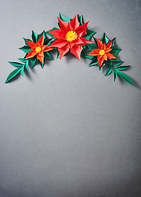 포토 JPG 스튜디오촬영 꽃 종이 크리스마스 나뭇잎 프레임 실내 사람없음 페이퍼아트 포인세티아 종이꽃 국내포토 식물 기념일 잎 내부 파일형식