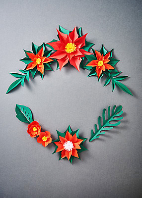 포토 JPG 스튜디오촬영 꽃 종이 크리스마스 나뭇잎 프레임 실내 사람없음 페이퍼아트 포인세티아 종이꽃 국내포토 식물 기념일 잎 내부 파일형식