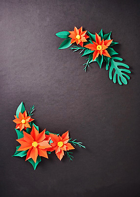 포토 JPG 스튜디오촬영 꽃 종이 나뭇잎 프레임 실내 사람없음 페이퍼아트 동백 포인세티아 종이꽃 국내포토 식물 잎 내부 파일형식