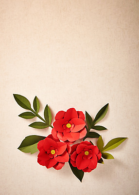 포토 JPG 스튜디오촬영 꽃 종이 나뭇잎 프레임 실내 사람없음 페이퍼아트 동백 종이꽃 국내포토 식물 잎 내부 파일형식